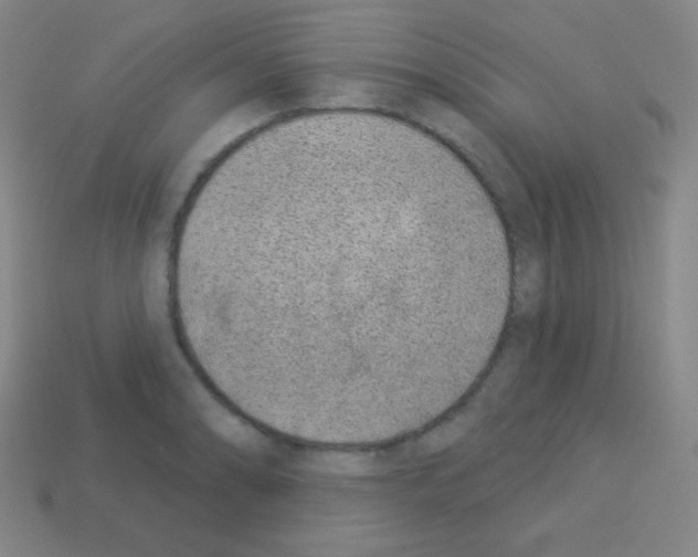 X0000113101086200910091134