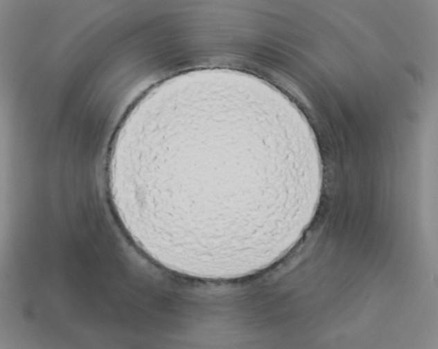 X0000113101087200910091134
