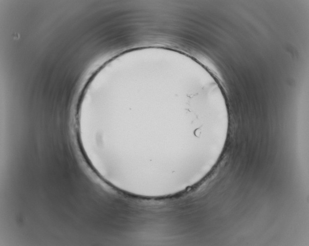X0000113101088200910091134