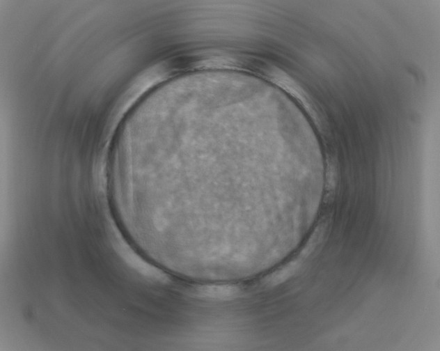 X0000113101090200910091134