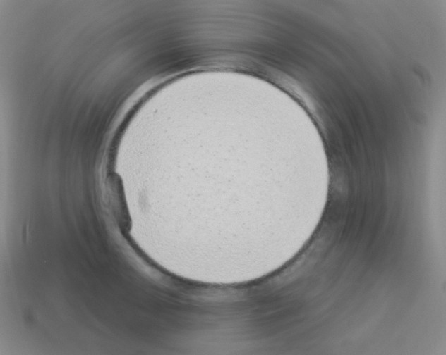X0000113101091200910091134