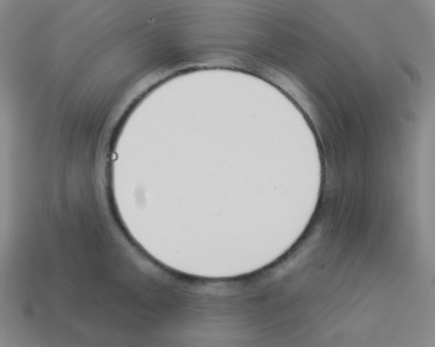 X0000113101093200910091134