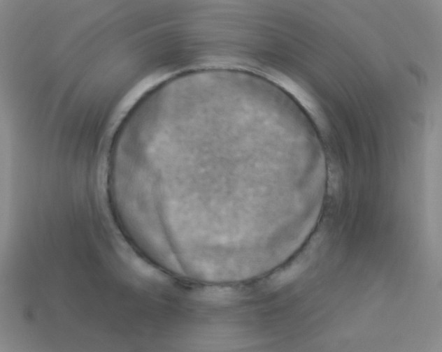 X0000113101094200910091134