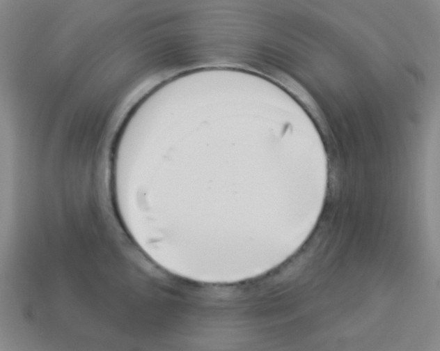 X0000113101096200910091134