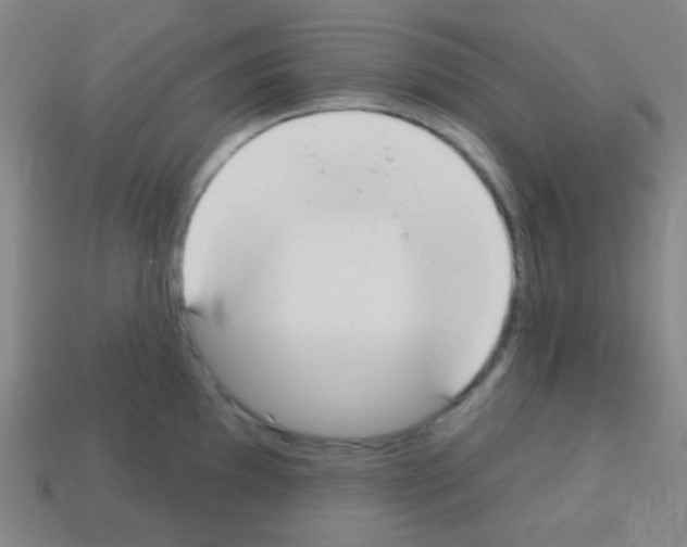 X0000113101097200910091134