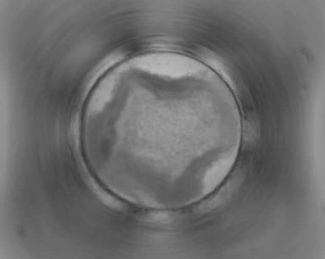 X0000113101098200910091134