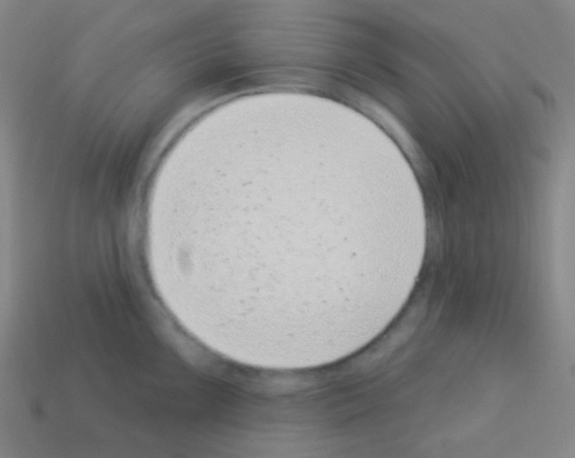 X0000113101099200910091134
