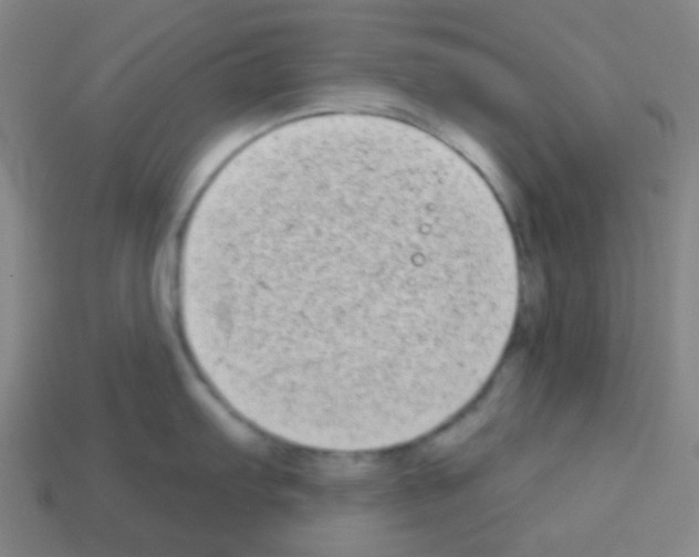 X0000113101103200910091134