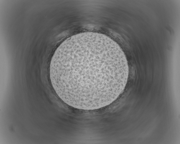 X0000113101105200910091134