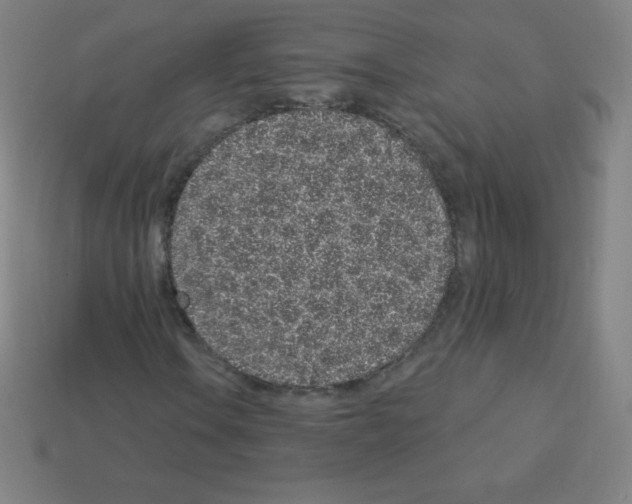X0000113101106200910091134