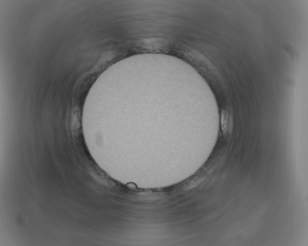 X0000113101107200910091134
