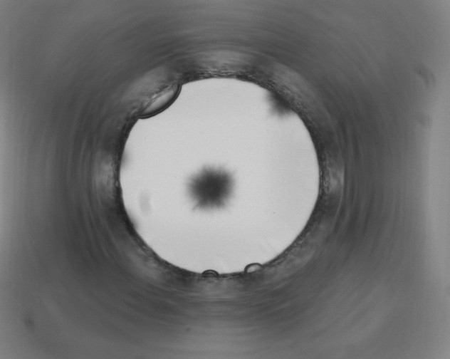 X0000113101108200910091134