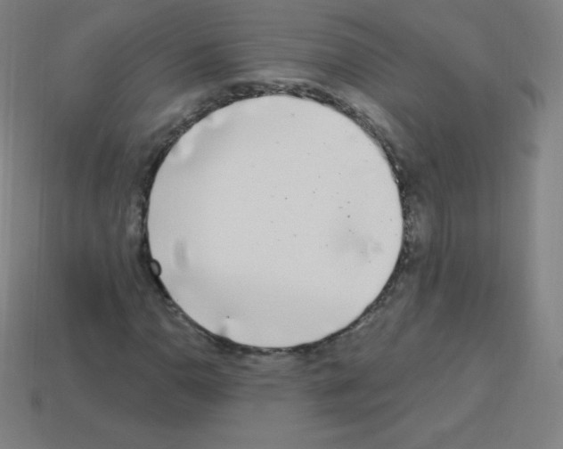 X0000113101110200910091134