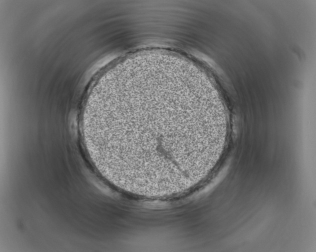 X0000113101113200910091134