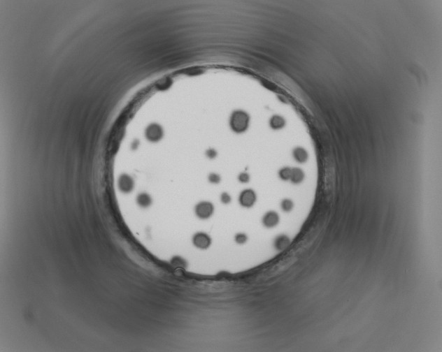 X0000113101116200910091134