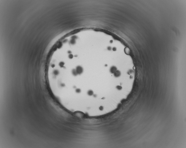 X0000113101120200910091134