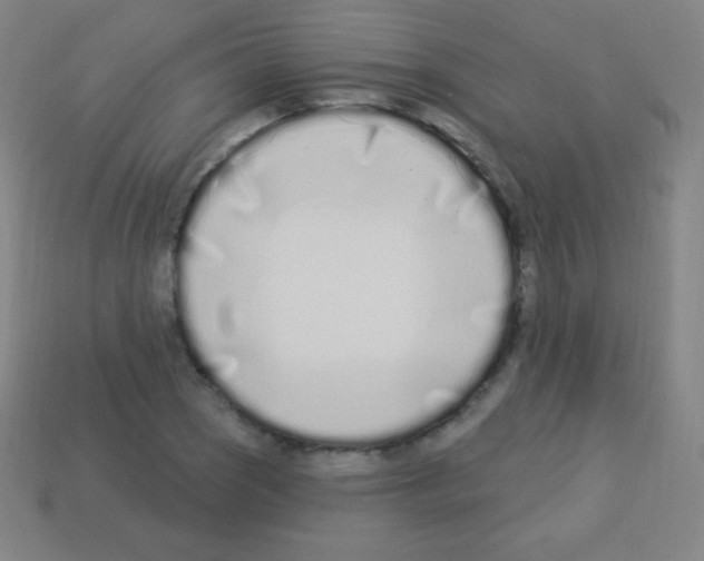 X0000113101121200910091134