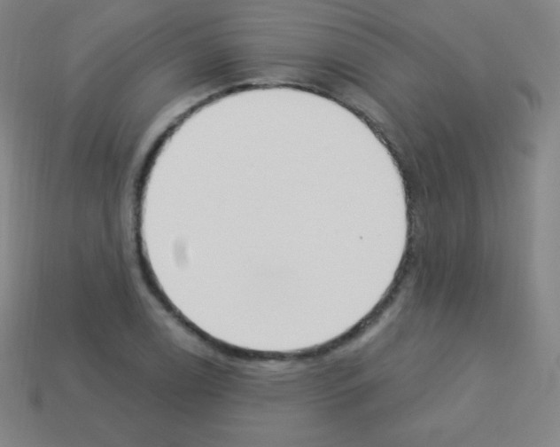 X0000113101122200910091134