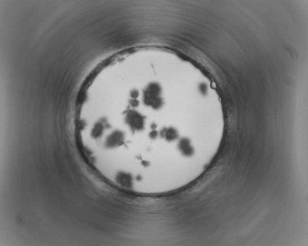 X0000113101124200910091134