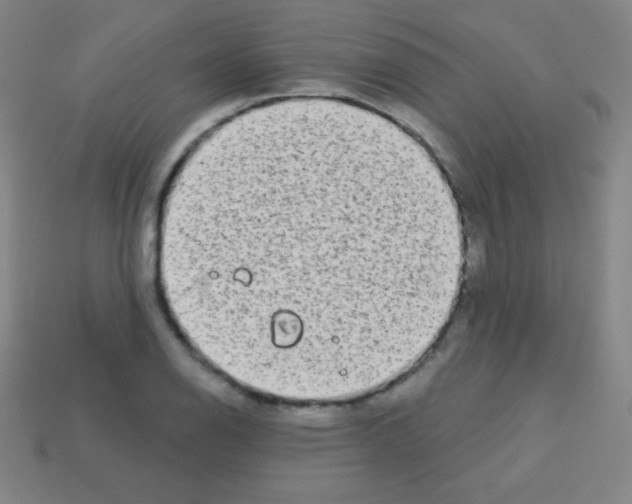 X0000113101126200910091134