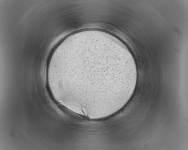 X0000113101127200910091134