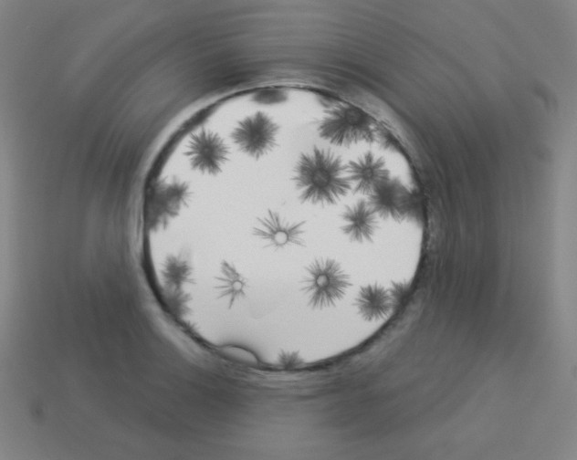 X0000113101132200910091134