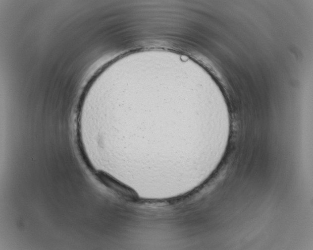 X0000113101133200910091134