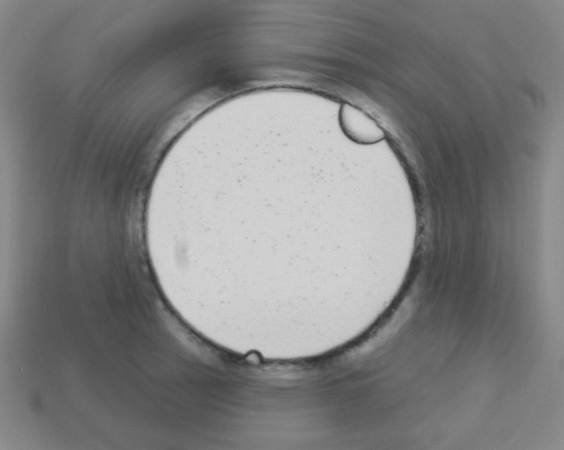 X0000113101137200910091134