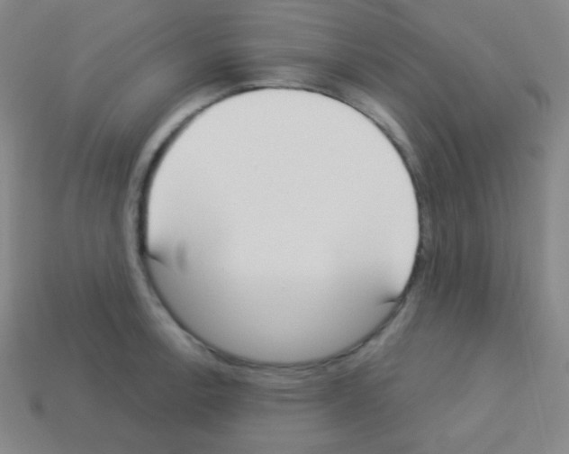 X0000113101138200910091134