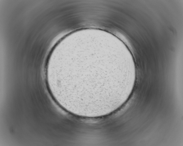 X0000113101141200910091134