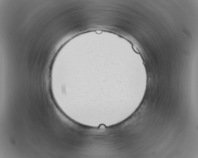 X0000113101143200910091134