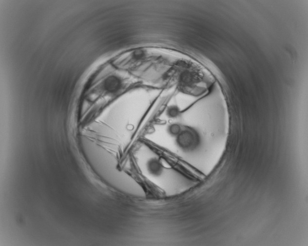 X0000113101144200910091134