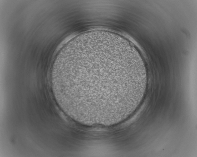 X0000113101145200910091134