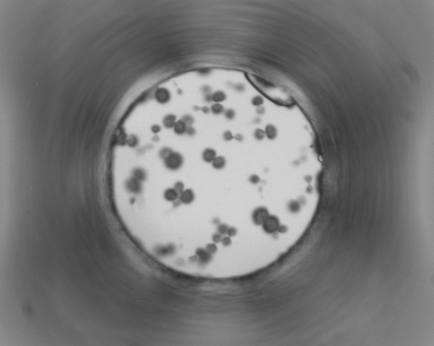 X0000113101146200910091134