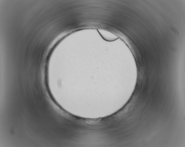 X0000113101147200910091134