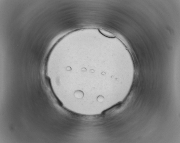 X0000113101149200910091134