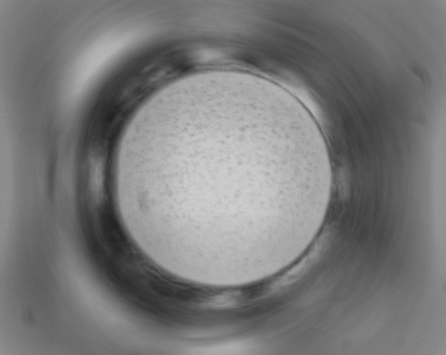 X0000113101150200910091134