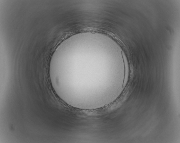 X0000113101153200910091134