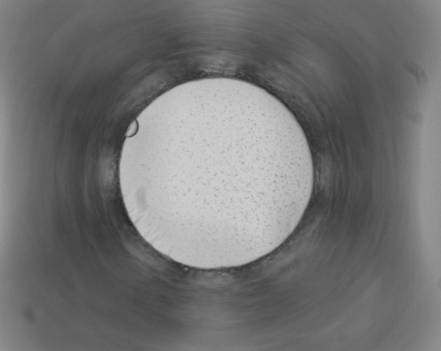 X0000113101154200910091133