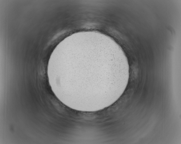 X0000113101158200910091133