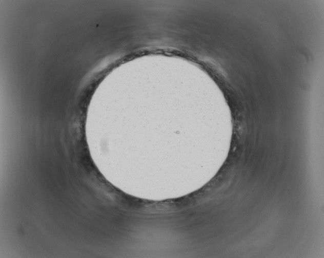 X0000113101159200910091133