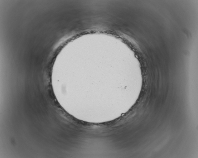 X0000113101160200910091133
