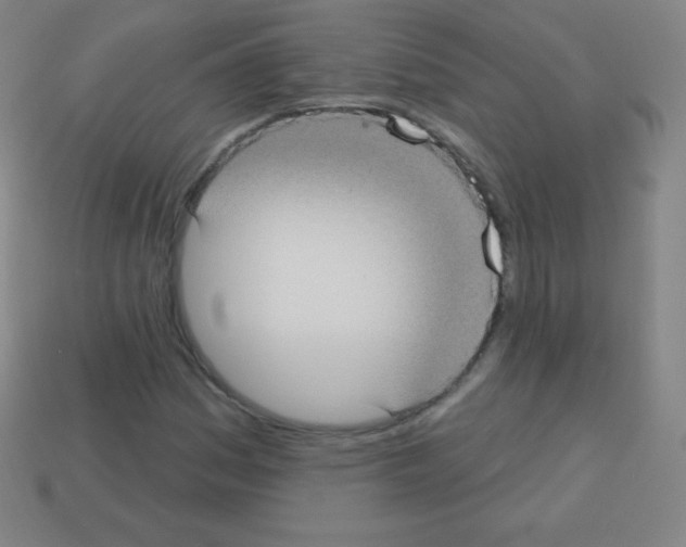 X0000113101161200910091133