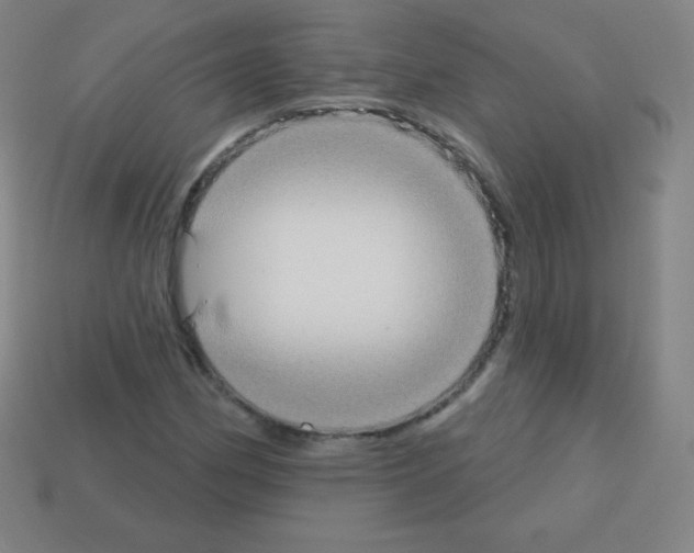 X0000113101162200910091133