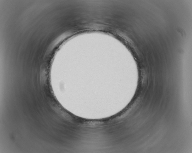 X0000113101163200910091133