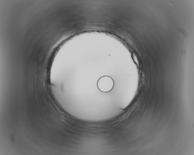 X0000113101165200910091133