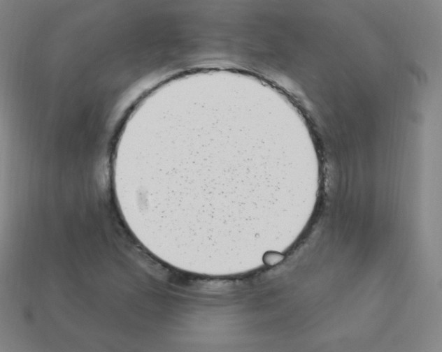 X0000113101167200910091133