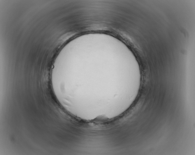 X0000113101169200910091133