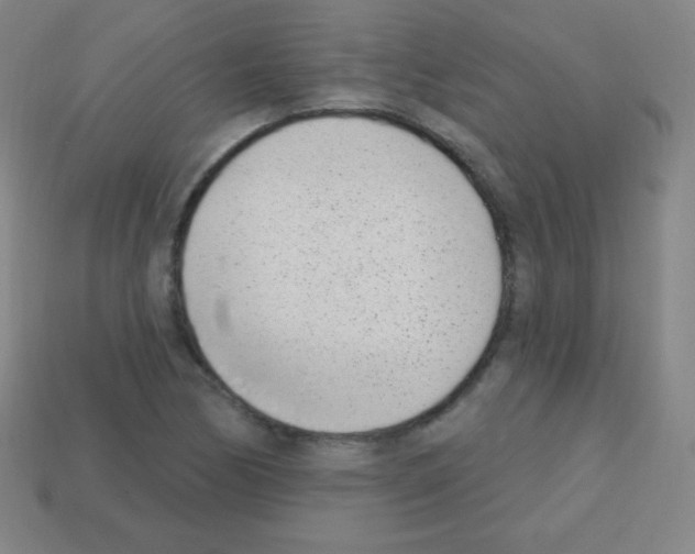 X0000113101170200910091133