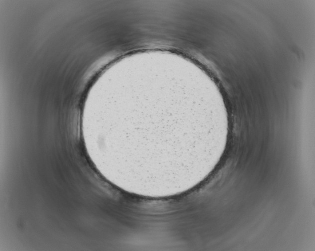 X0000113101171200910091133